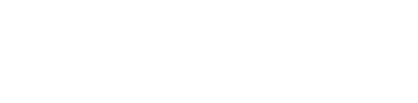 Primo POS